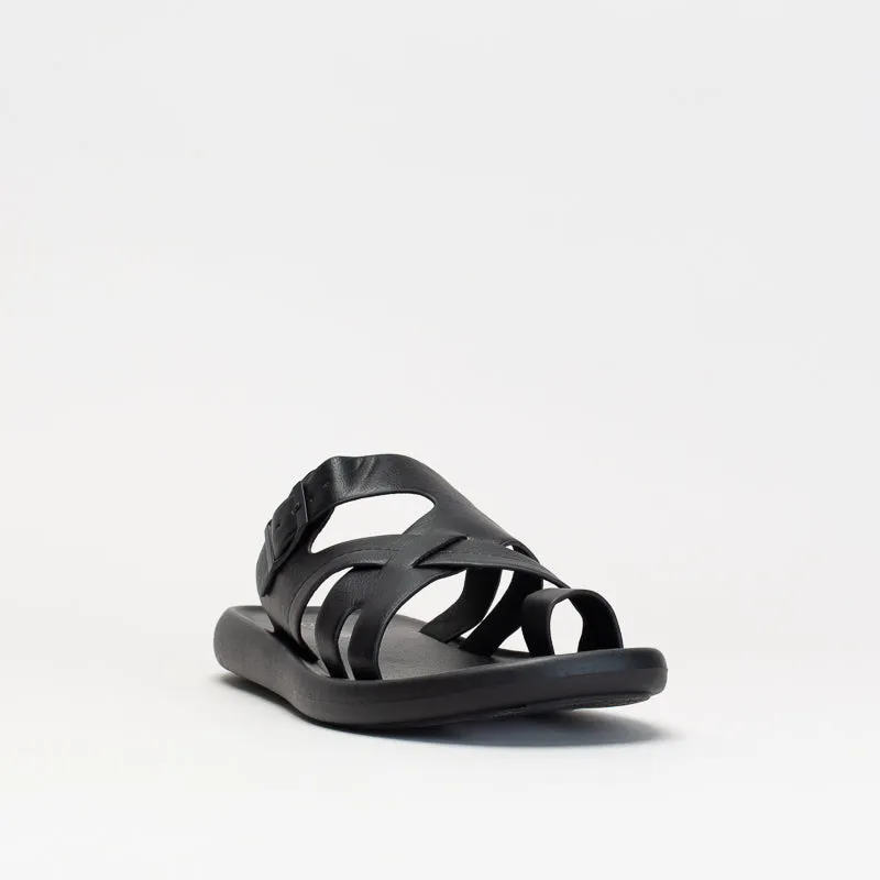 Mancini Men Toe Loop Mule _ 150831